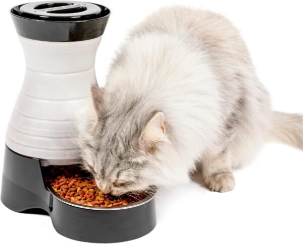 Healthy Pet Food Station - Small, 2 lb Kibble Capacity - Gravity Pet Feeder Dry Food Dispenser - Automatic Cat Feeder or Small Dog Feeder - Removable Stainless Steel Bowl Included