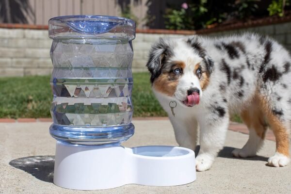 H2O Gravity Pet Water Dispenser. Durable 2.5 Gallon Waterer Feeder. Automatic Station for Cats & Small, Medium, Large Dogs, Transparent - Image 2